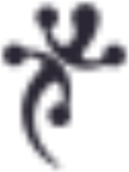 Logo Geko