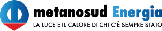 Logo Metanosud Energia