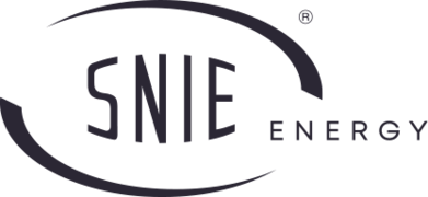 Logo Società Nolana per Imprese Elettriche