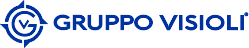 Logo Visioli